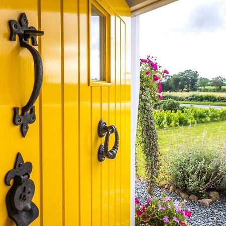 Katie'S Cottage Bellaghy エクステリア 写真