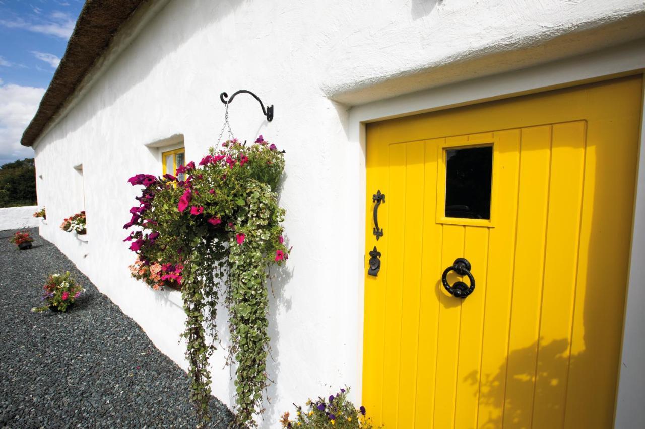 Katie'S Cottage Bellaghy エクステリア 写真